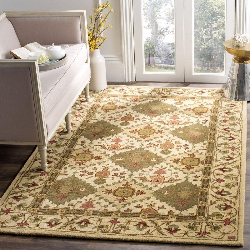 Antiquity AT57 Hand Tufted Area Rug  - Safavieh