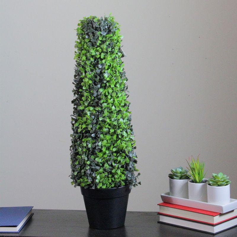 Northlight 25" Green and Black Potted Two-Tone Boxwood Cone Artificial Topiary Tree