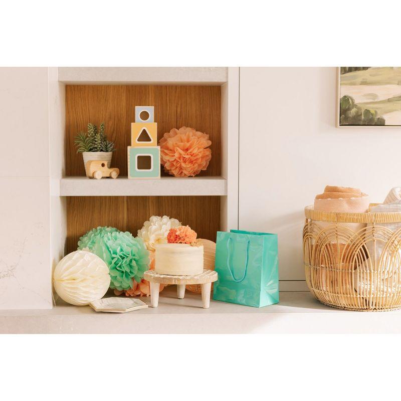 EpiqueOne 22-Piece Tissue Paper Pom Poms and Paper Lantern Party Kit - Add a Splash of Mint, Ivory & Peach to Your Celebrations!