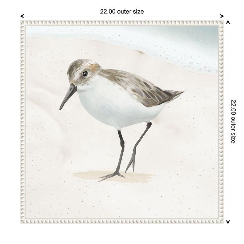 Amanti Art Sandpiper on the Beach II by Lucca Sheppard Canvas Wall Art Print Framed 22 x 22-in.