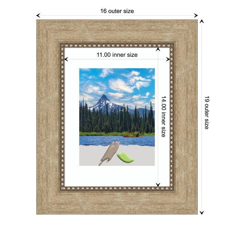 Amanti Art Astor Champagne Picture Frames