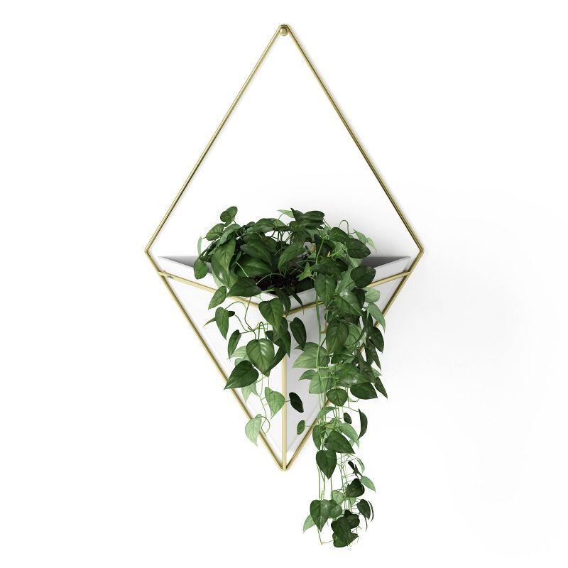 White and Brass Geometric Wall Planter Decor