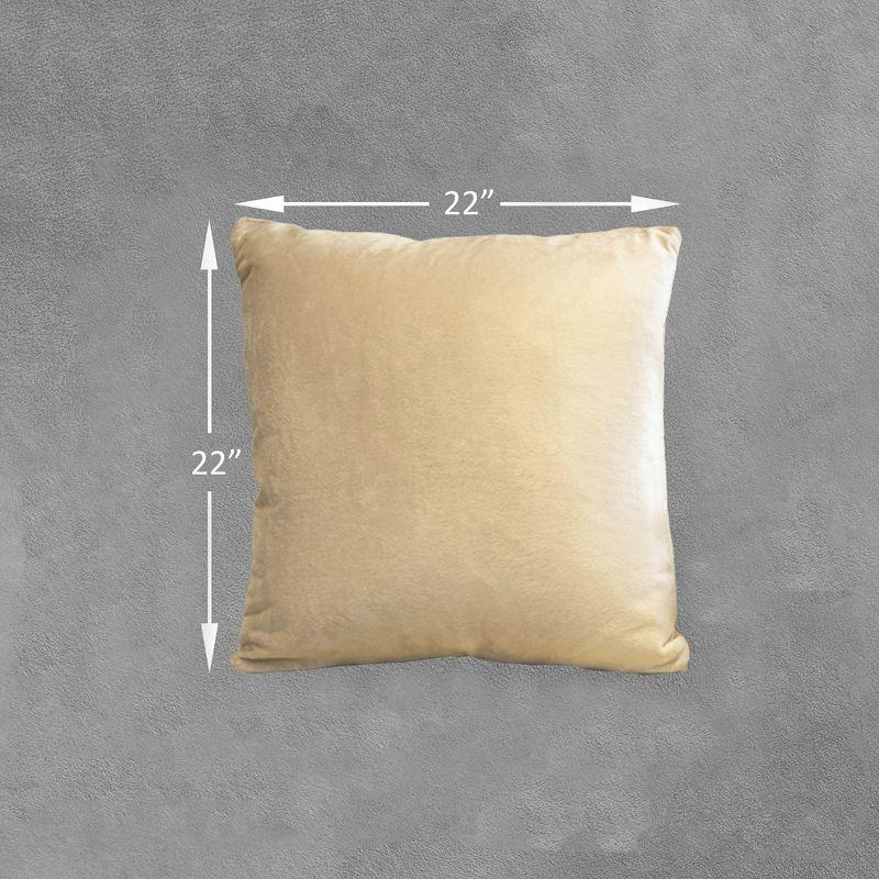 Cheer Collection Throw Pillow (Set of 2)
