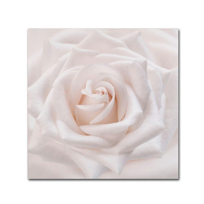 Trademark Fine Art -Cora Niele 'Soft White Rose' Canvas Art