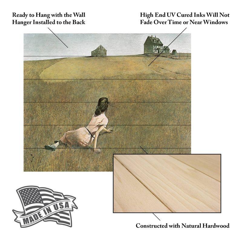 Trademark Fine Art 18"x22" Andrew Wyeth Christina's World Wood Slat Art: UV Ink, Ready to Hang