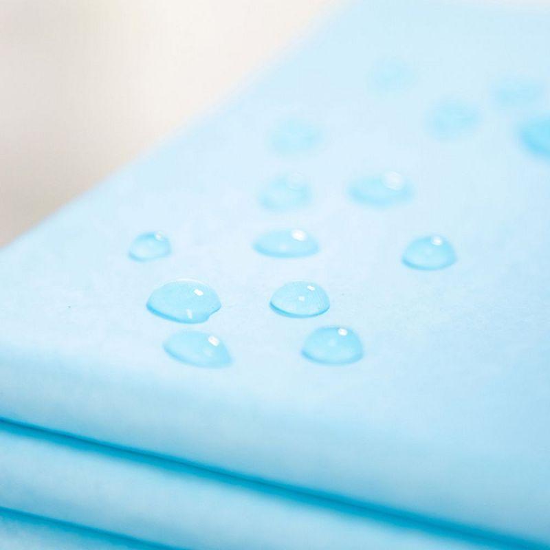 Puppy Pee Pads Potty Training Disposable Pad 22" x 22" 100 Pcs