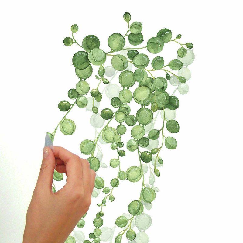 36.5" x 9" String of Pearls Vine Peel and Stick Wall Decal - RoomMates: Removable, Modern Botanical Decor