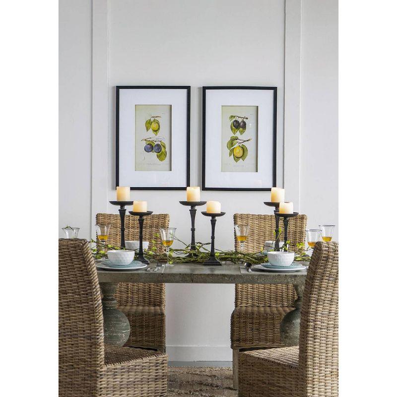 Set of 2 Smithsonian Fruit Framed Wall Arts - A&B Home: Transitional Decor, Vertical Orientation, Includes Mounting Hardware
