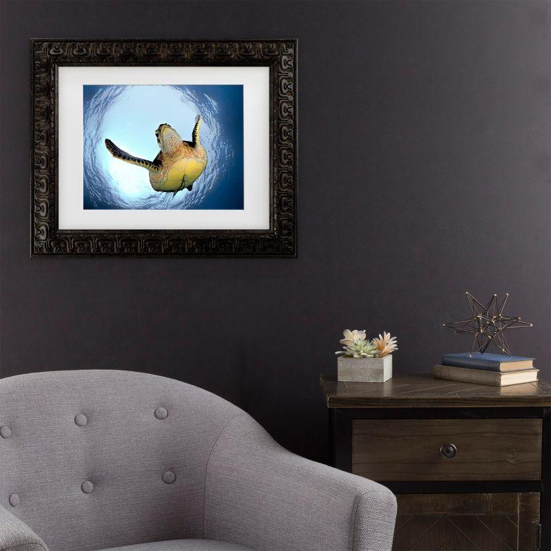 Trademark Fine Art - Henry Jager Green Turtle In Snells Window Matted Framed Art - 11x14