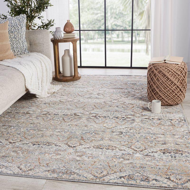 Edlynne Traditional Gray and Light Blue Ornate Filigree Area Rug