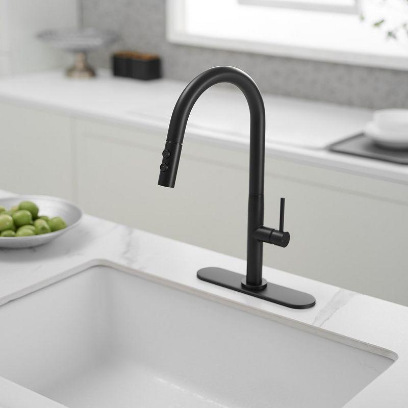 Single Handle Pull Down Sprayer Kitchen Faucet