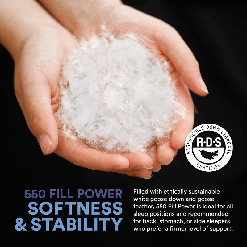 Continental Bedding 50% White Goose Down and 50% White Goose Feather Blend - Queen Size Pillow - Set of 2