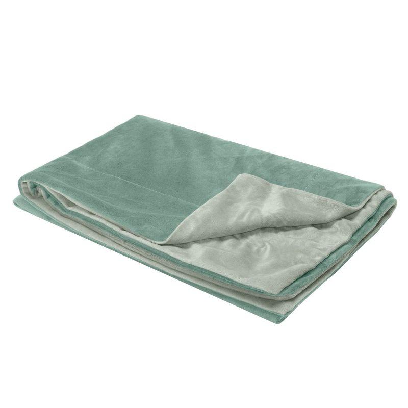 FurHaven Waterproof Velvet Pet Throw Blanket for Dogs and Cats - Medium, Celadon Green