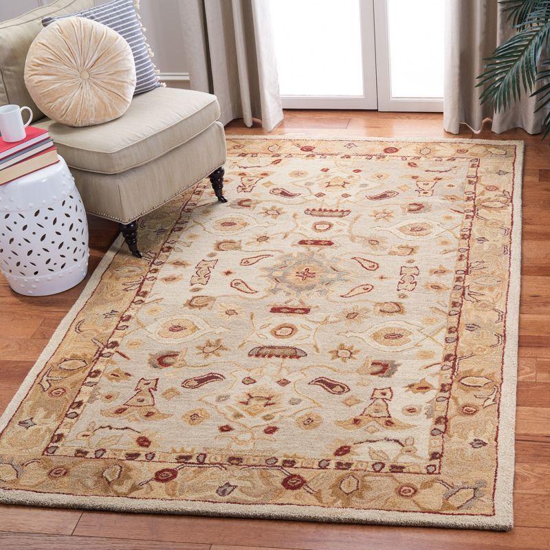 Anatolia AN543 Hand Tufted Area Rug  - Safavieh