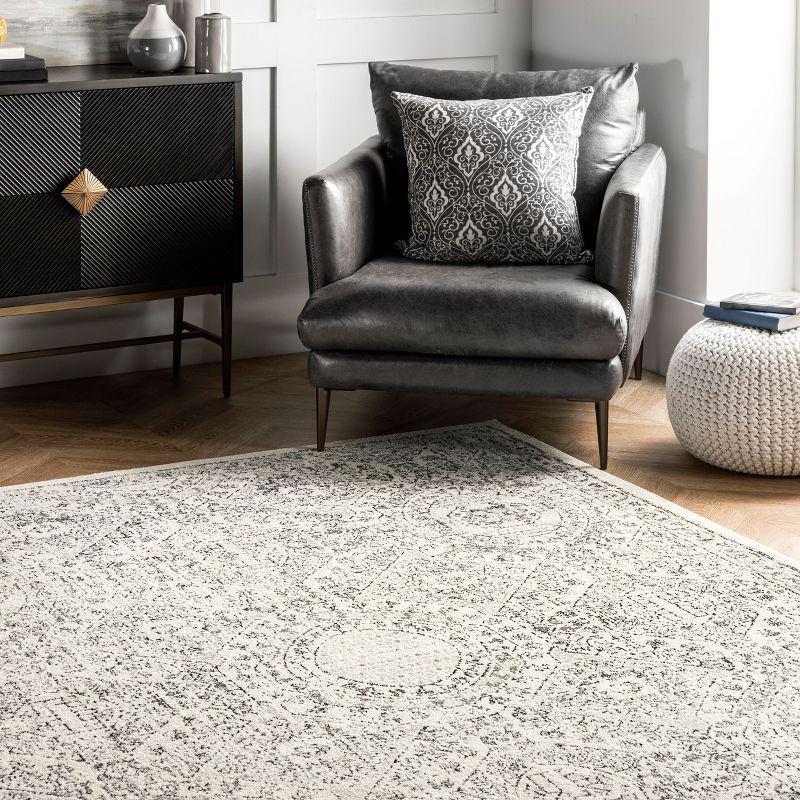 Nuloom Minta Vintage Transitional Indoor Area Rug