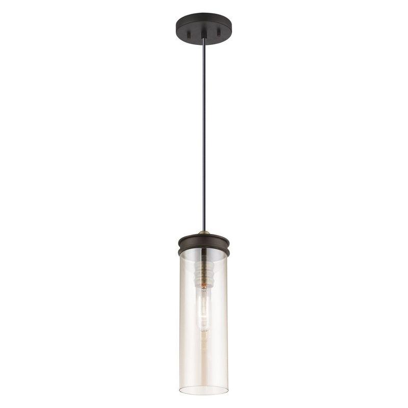 Livex Lighting Art Glass 1 - Light Pendant in  Bronze