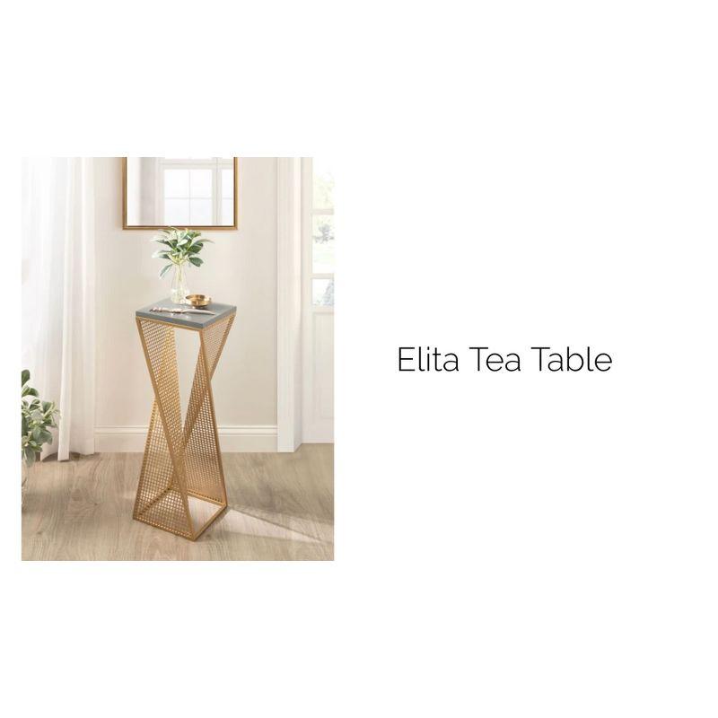 Kate and Laurel Elita Wood and Metal Pedestal End Table