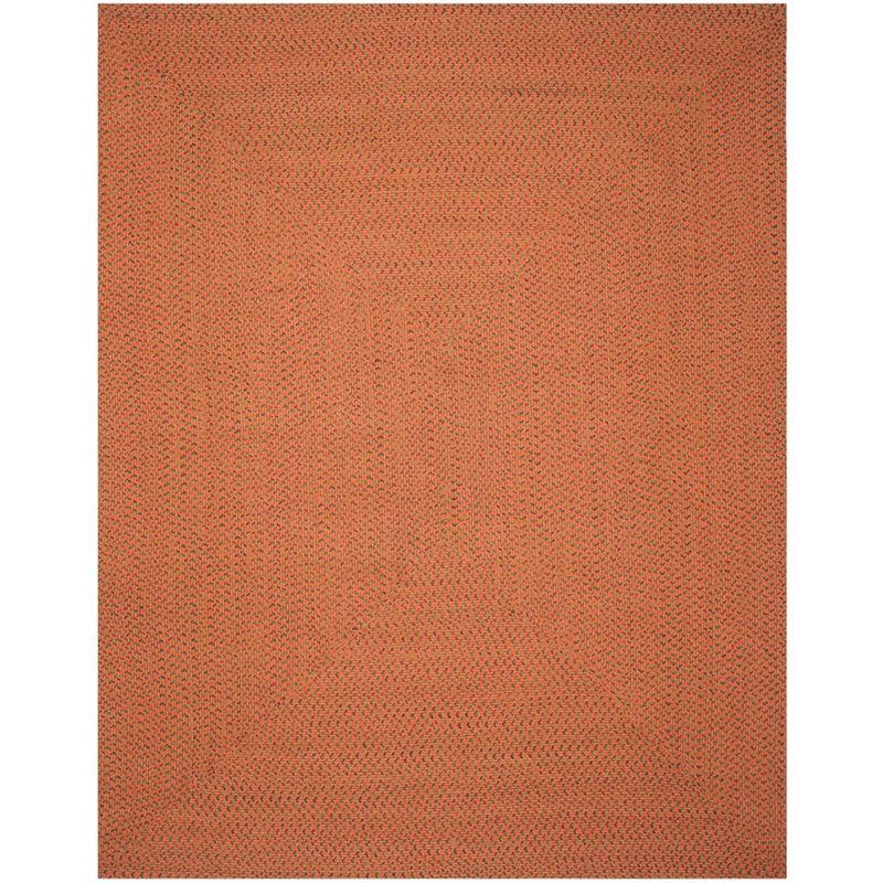 Braided BRD166 Hand Woven Indoor Area Rug - Multi - 8'x10' - Safavieh