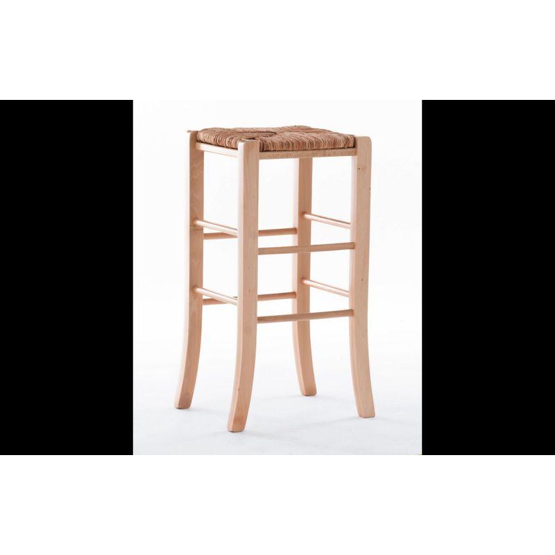 Set of 2 Gianna Backless Barstools - Linon