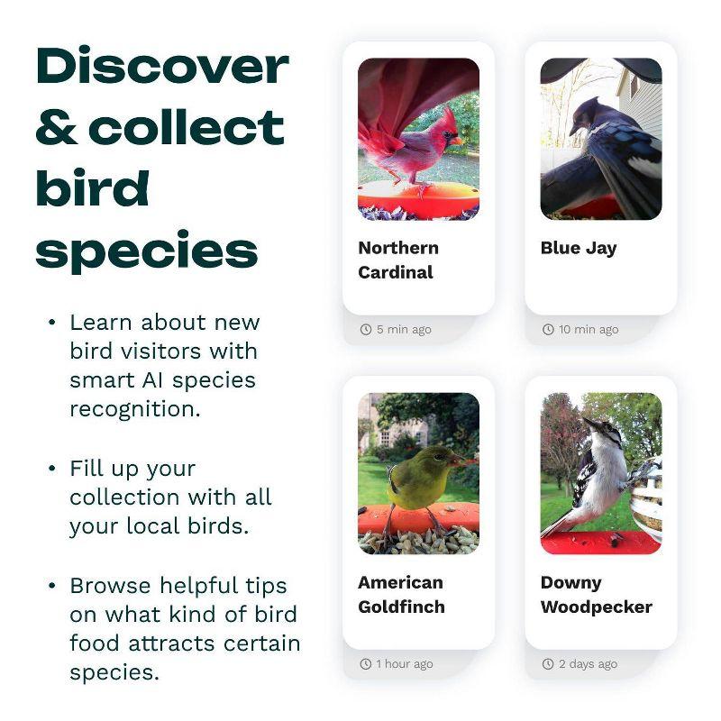 Bird Buddy Smart Bird Feeder with Camera and Solar Roof: Weather-Resistant, Hanging or Pole Mount