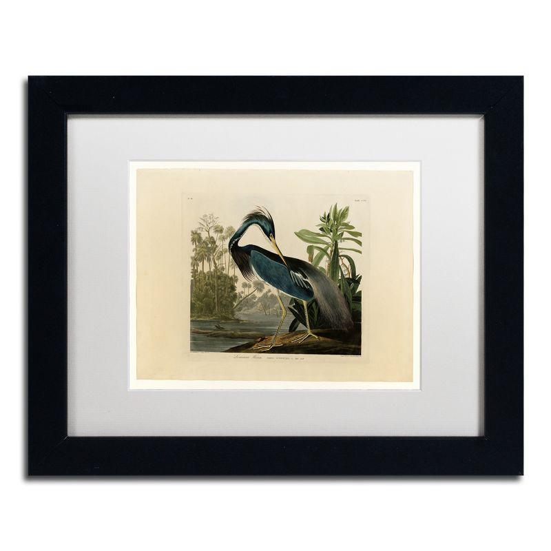 " Louisiana Heron " by James Audubon