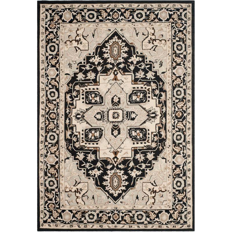 Chelsea HK709 Hand Hooked Area Rug - Black/Natural - 6'x9' - Safavieh.