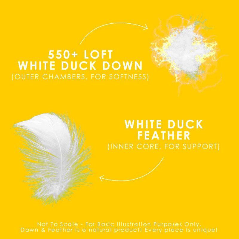 Canadian Down & Feather Company White Feather & Down Pillow - 2 Pack (Set of 2)