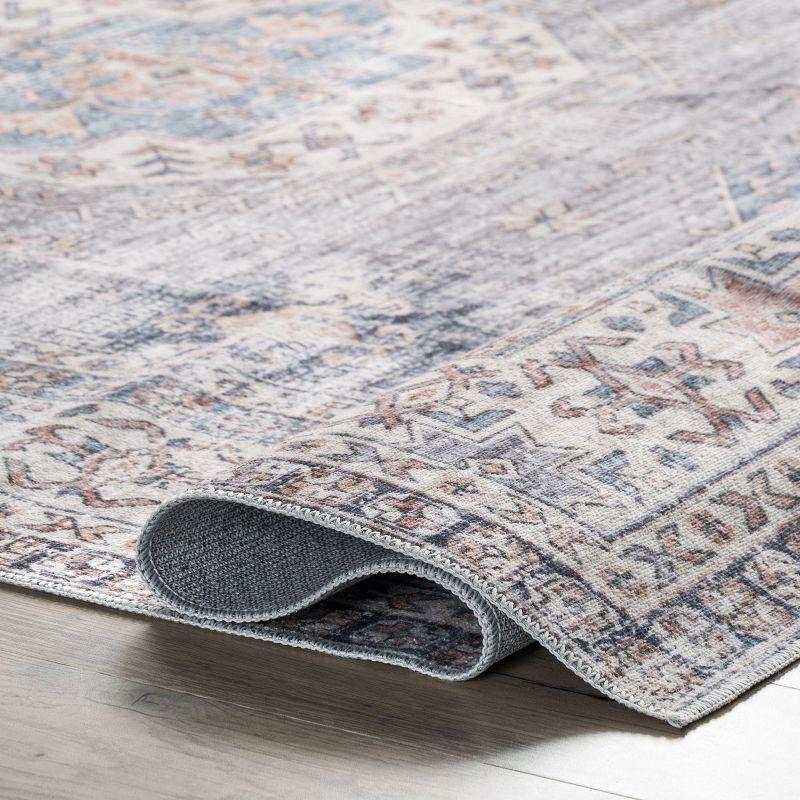 Nuloom Drina Distressed Machine Washable Indoor Area Rug