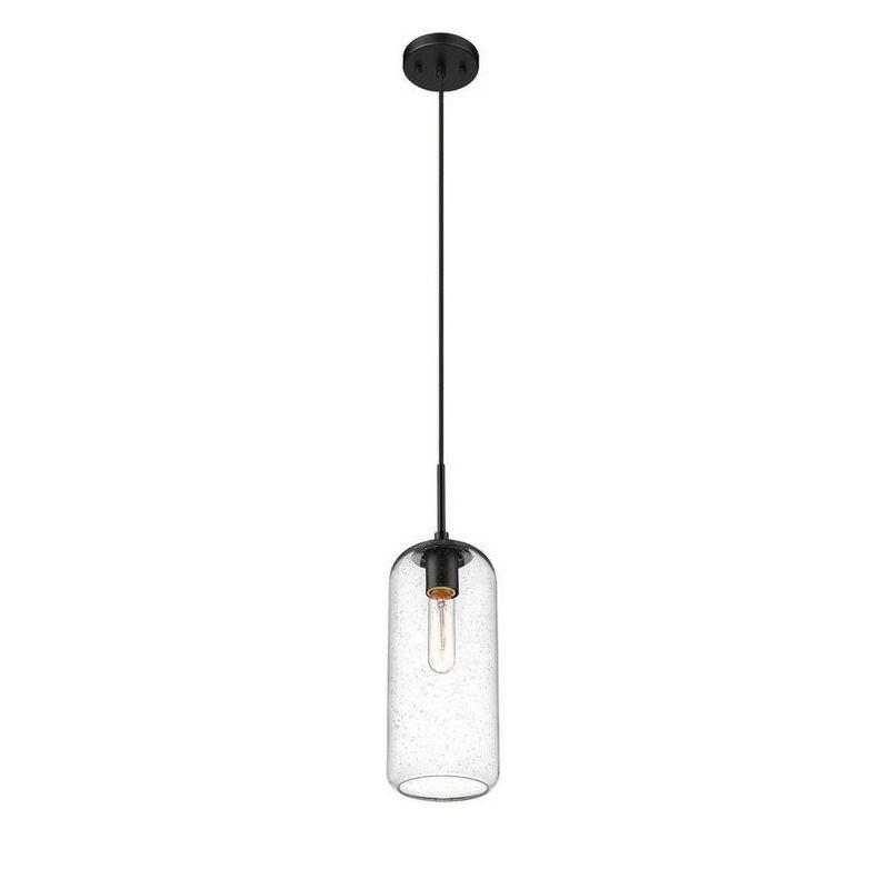 Z-Lite Monty 1 - Light Pendant in  Matte Black