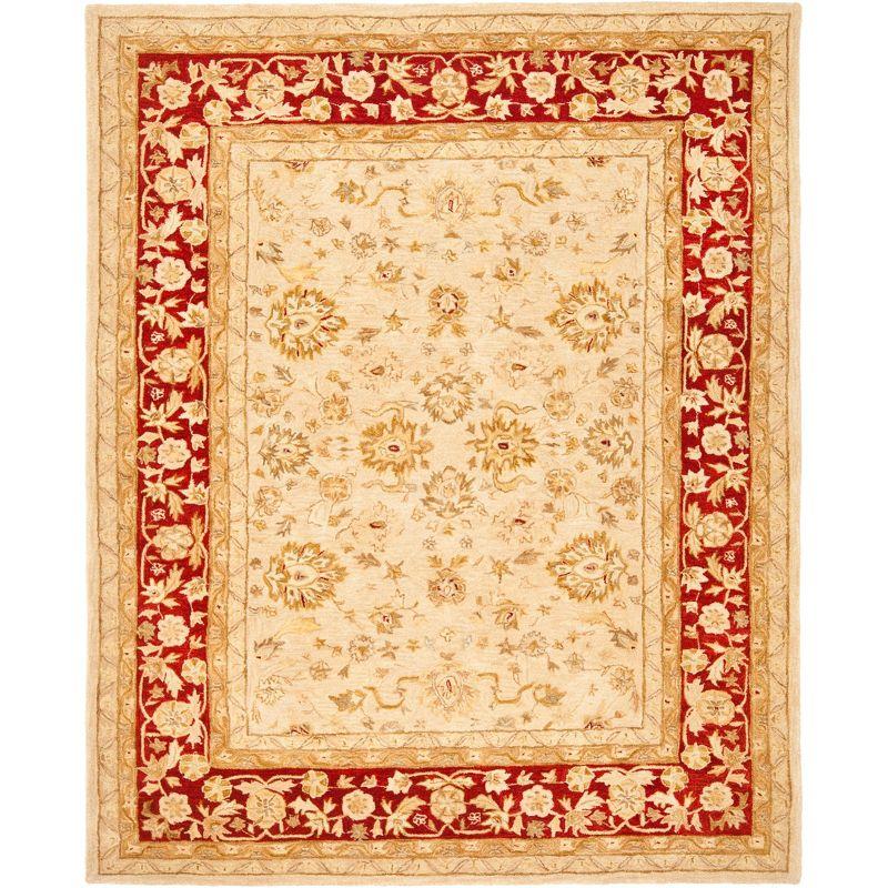 Anatolia AN522 Hand Tufted Area Rug  - Safavieh