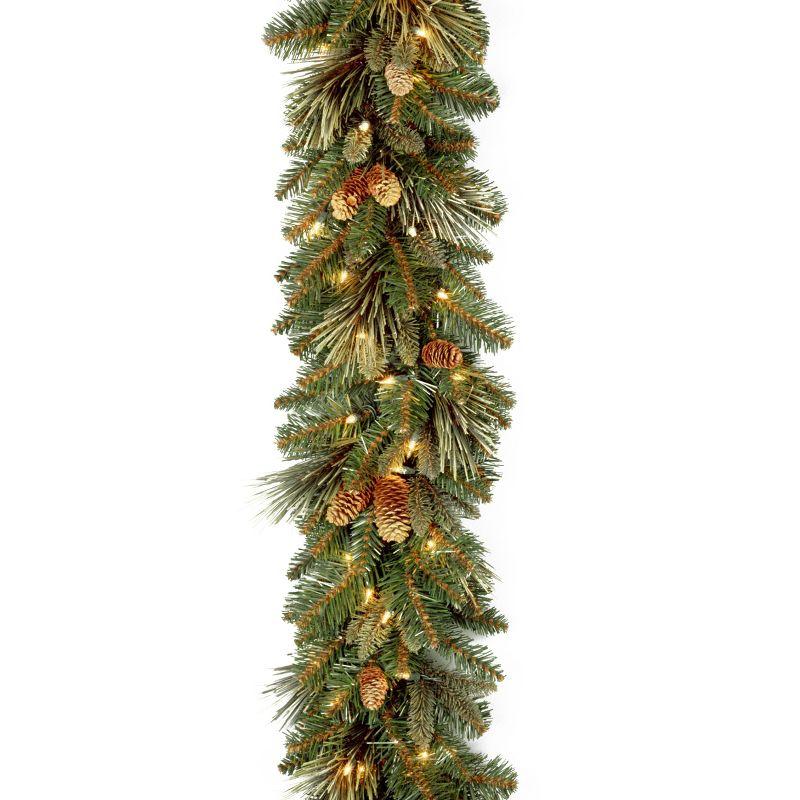 The Holiday Aisle® 9ft. Carolina Pine Garland with LED Lights