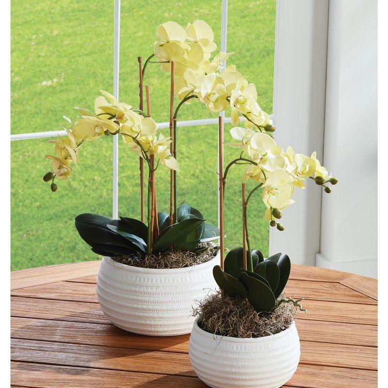 Plum & Post Phalaenopsis Orchid Artificial Plant Drop-In