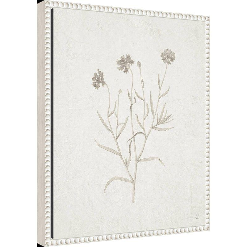 Amanti Art 16"x20" Plants from The Meadow V by Sarah Adams Framed Canvas Wall Art Print: Modern Botanical Lithograph, White Frame