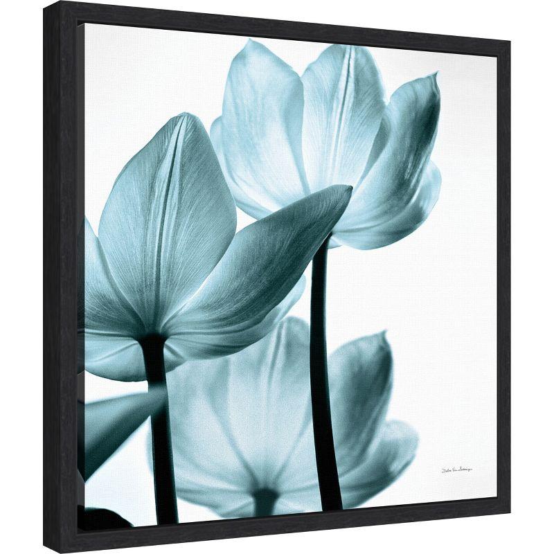 Amanti Art Translucent Tulips III Sq Aqua Crop by Debra Van Swearingen Framed Canvas Wall Art