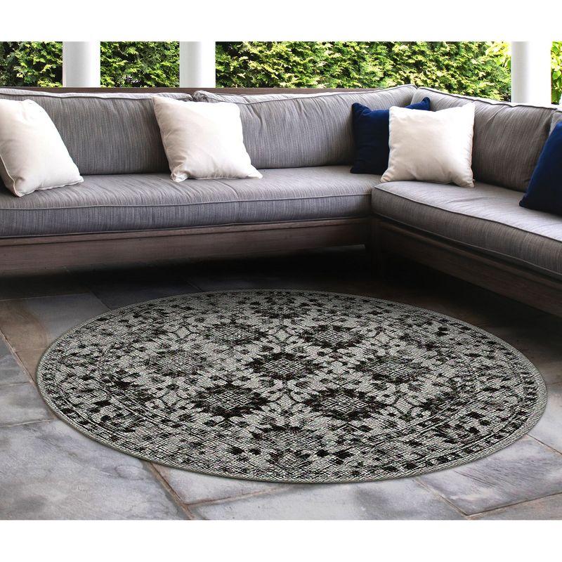 Liora Manne Carmel Vintage Floral Indoor/Outdoor Rug Black 7'10" Round
