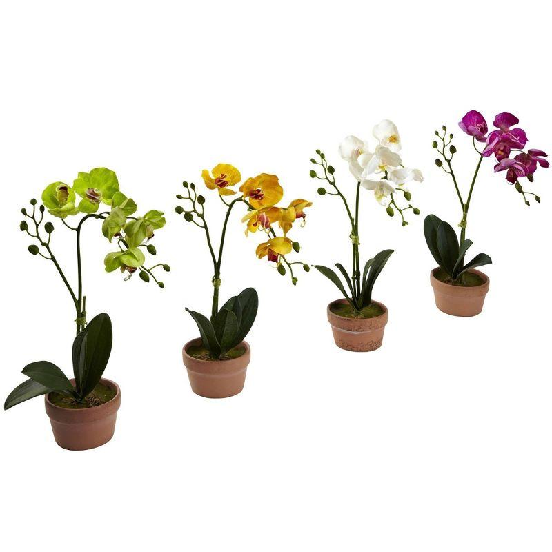 Nearly Natural Phalaenopsis Orchid with Clay Vase (Set of 4)