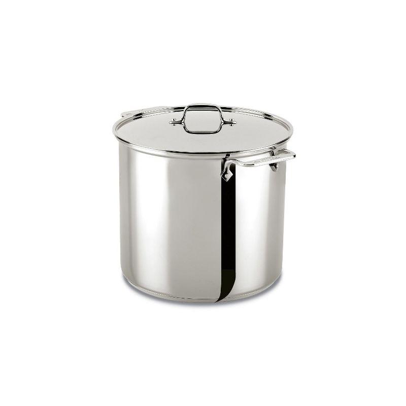 All-Clad © Stainless Steel 16-Qt. Stockpot with Lid