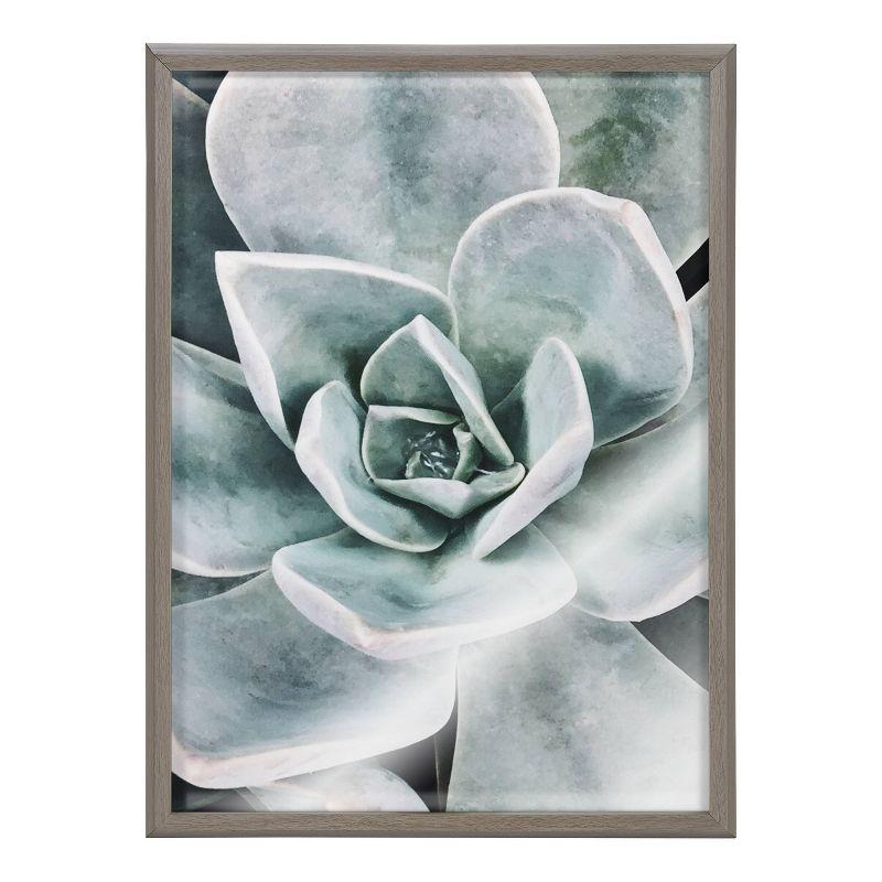 18" x 24" Blake Botanical Succulent Plants Printed Glass Framed Canvas by the Creative Bunch Studio Gray - Kate & Laurel All Things Decor: