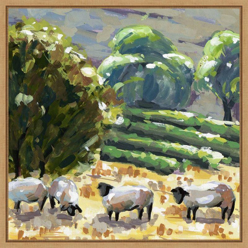 Amanti Art Sheep in Summer I by Melissa Wang Framed Wall Art Print