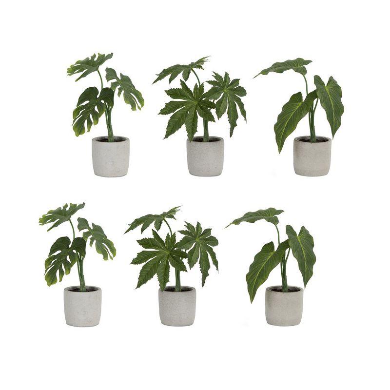 Set of 6 Green Potted Philodendron Plants with Grey Pots