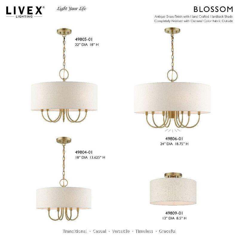 Dovecove Winscombe Shaded Drum Chandelier