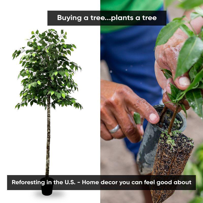 Cypress & Alabaster | Handmade Modern Style 6.5' Artificial Ficus Tree In Home Basics Plastic Pot Made With Real Wood And Moss Accents