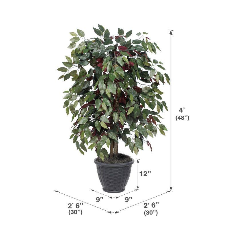 Vickerman 4' Artificial Capensia Bush, Gray Round Plastic Container. In a 12"Lx12"Wx9"H base.