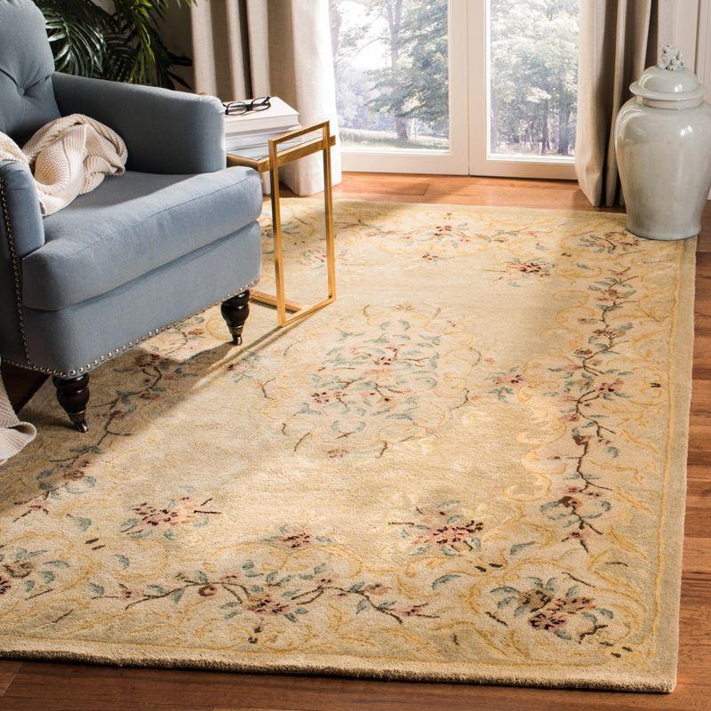 Bergama BRG166 Hand Tufted Area Rug  - Safavieh