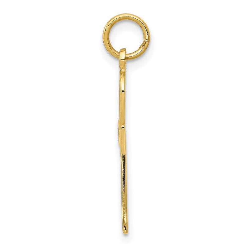 Black Bow Jewelry 14k Yellow Gold Textured Ankh Cross Pendant, 12 x 28mm