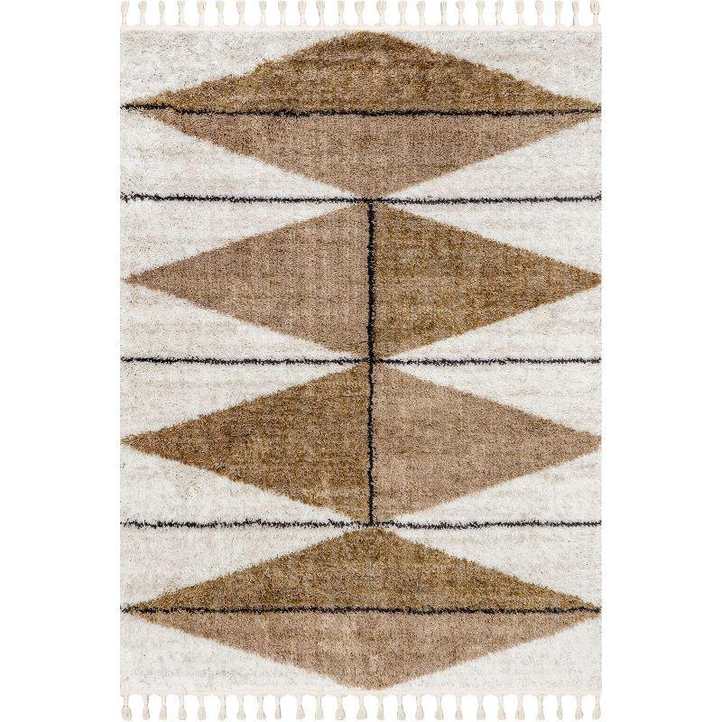 Light Brown Geometric Shag Area Rug with Tassels, 3' x 5'