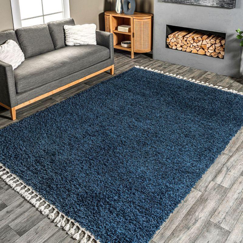 Blue Braided Reversible Shag Area Rug with Tassels