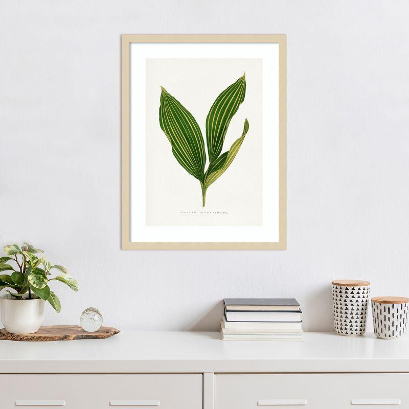 Amanti Art Lily of the Valley Leaf Illustration by Pictufy Wood Framed Wall Art Print