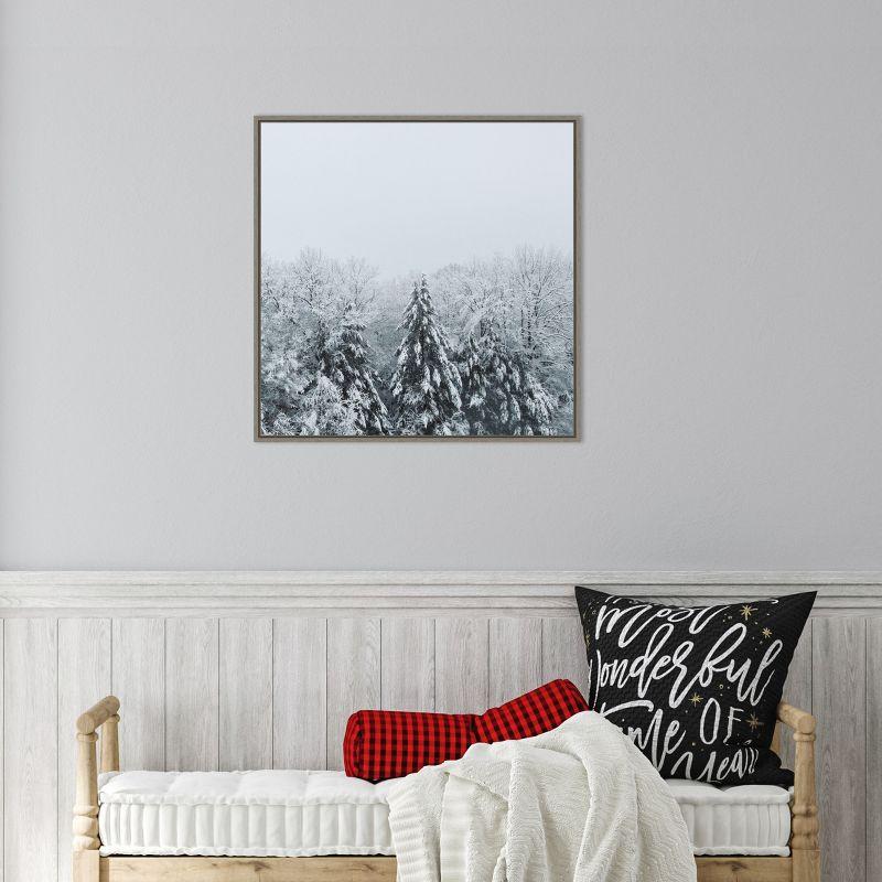 Amanti Art Snowshoe Hill Deep Crop by Sue Schlabach Framed Canvas Wall Art