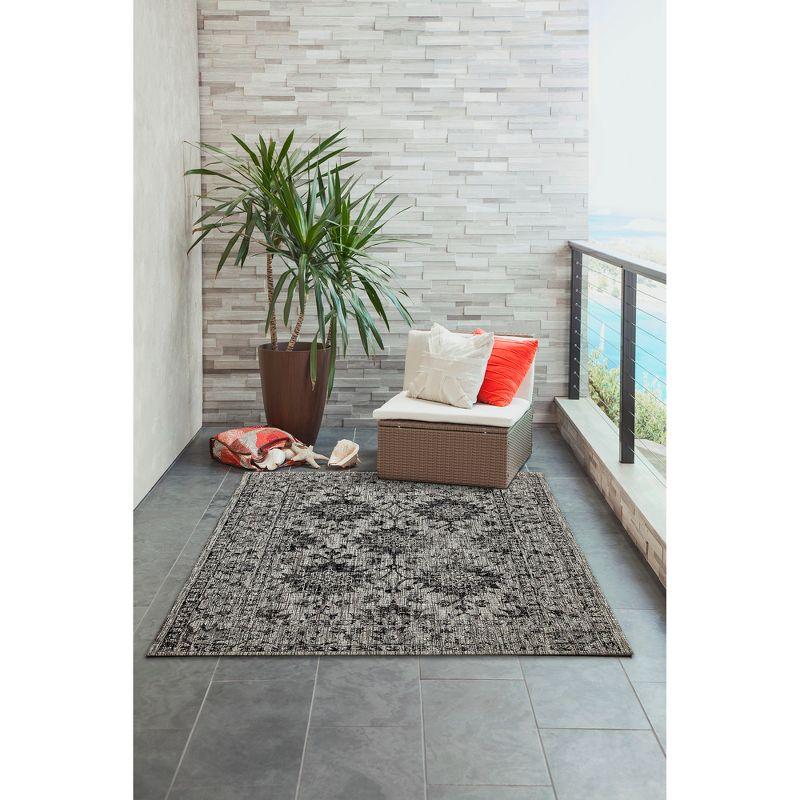 Liora Manne Carmel Vintage Floral Indoor/Outdoor Rug Black 3'3" x 4'11"